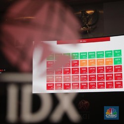 Pendapatan Usaha Nihil, Saham Renuka Disuspensi BEI