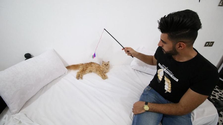 Mahasiswa jurusan kedokteran hewan Irak, Ahmed Taher Maki mengubah rumahnya menjadi hotel Kucing pertama di Irak.