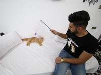 Fakta Unik Kenapa Kucing Oren Dicap Nakal dan Barbar oleh Manusia