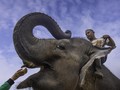 FOTO: Konservasi, Upaya Mengakhiri Konflik Gajah vs Manusia