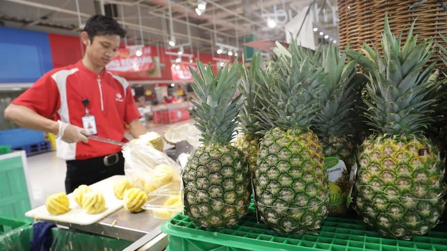 Pemerintah akan mendorong ekspor nanas ke AS.