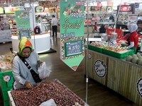 Pasokan Berlimpah, Harga Bawang Putih Turun