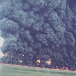 Ini Langkah Pemerintah Tangani Tumpahan Minyak Balikpapan