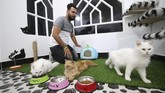 Maki mengatakan kalau hotel ini dibuatnya agar pemilik kucing bisa dengan tenang meninggalkan peliharaannya saat sedang bepergian. Ia juga ingin semakin banyak penduduk Irak yang memelihara hewan berbulu itu.