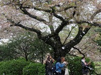 Mau Wisata ke Jepang? Februari Waktu Paling Cocok