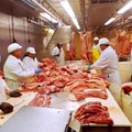 Kenapa China Pusing Soal Babi, RI Malah Menang Banyak?