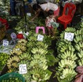 Sri Mulyani Dicurhati Eksportir Soal Nanas dan Pisang