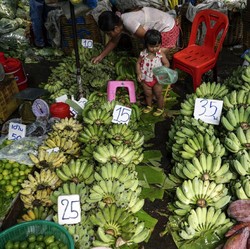 Pisang Goreng Camilan Terbaik Dunia, Potensinya Gak Main-main