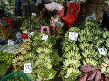 Pisang Goreng Camilan Terbaik Dunia, Potensinya Gak Main-main