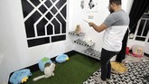 Saat ini, baru dua kamar yang dioperasikan di 4Cats Pet Hotel. Satu kamarnya dapat menampung tiga ekor kucing.