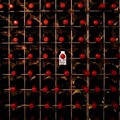 Awas Panas! China Kenakan Bea Impor 218% ke Wine Australia