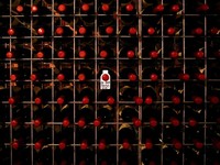 Kena Bea Impor Baru China, Wine AS Dipajaki Total 67,7%