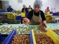 Studi Temukan Camilan yang Bisa Cegah Mati Muda karena Sakit Jantung