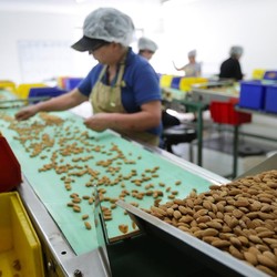 6 Jenis Cemilan Sehat Tinggi Protein yang Baik untuk Kesehatan