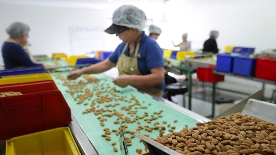 Workers sort and remove imperfect almonds at Capay Canyon Ranch in Esparto, California, U.S. April 2, 2018.   REUTERS/Elijah Nouvelage