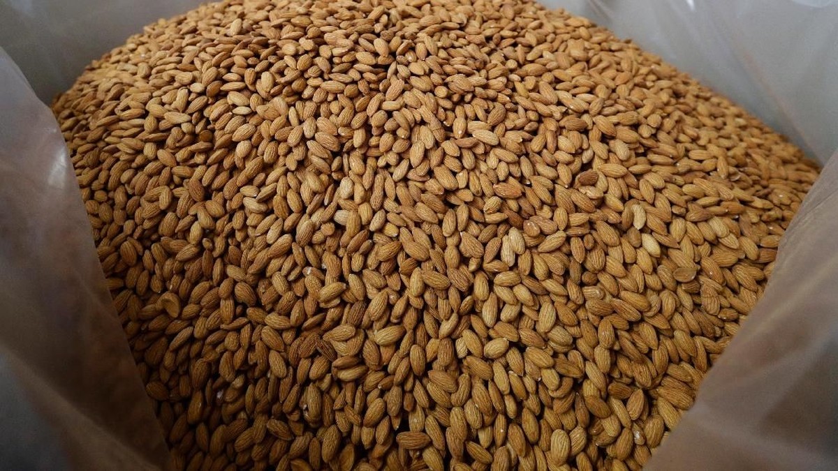 cc1b151a-9b67-4447-8bb5-8d69c44b36a3_169 9 Kategori Kacang Protein Tinggi, Bagus Untuk Kesehatan Tubuh Anda