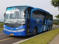 Siap-siap Bayar Tiket Bus Damri dengan Uang Elektronik