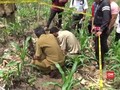 VIDEO: Fosil Gajah Purba 900 Ribu Tahun Ditemukan di Ngawi