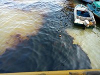 ESDM: Pertamina Harus Tanggap Soal Tumpahan Minyak Balikpapan