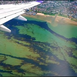 Penyebab Tumpahan Minyak di Teluk Balikpapan Masih Misteri