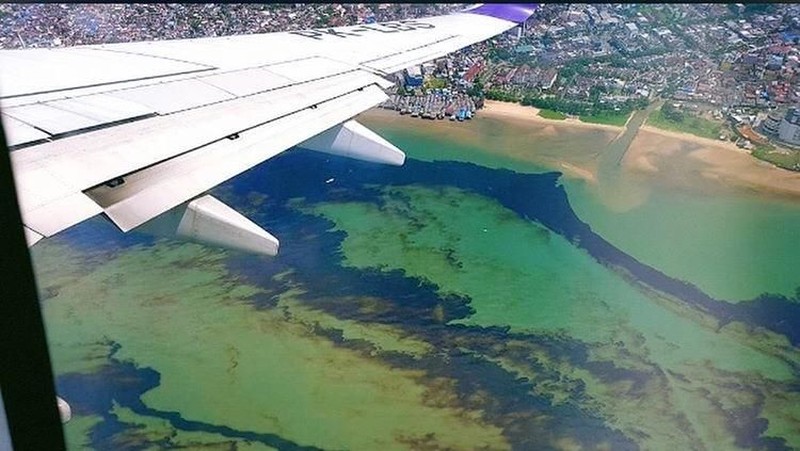 Kondisi minyak mentah yang tumpah pada hari minggu di kawasan perairan balikpapan. Hingga saat ini tumpahan minyak tersebut masih cemari teluk Balikpapan