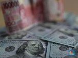 Rupiah Dekati Rp 14.300/US$, Sinyal Bakal Ada Taper Tantrum?