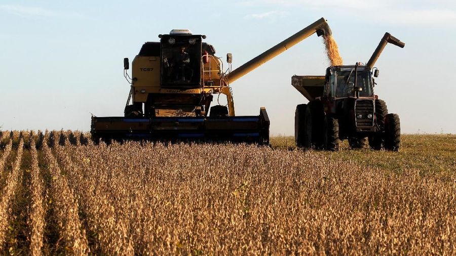 FILE PHOTO: Soybeans are harvested on a farm on the outskirts of San Jose, Uruguay, April 27, 2011. REUTERS/Andres Stapff/File photo