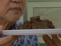 VIDEO: Rendang Indonesia dan Malaysia yang