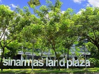 BI Dorong Properti Hijau, Begini Respons Sinarmas Land