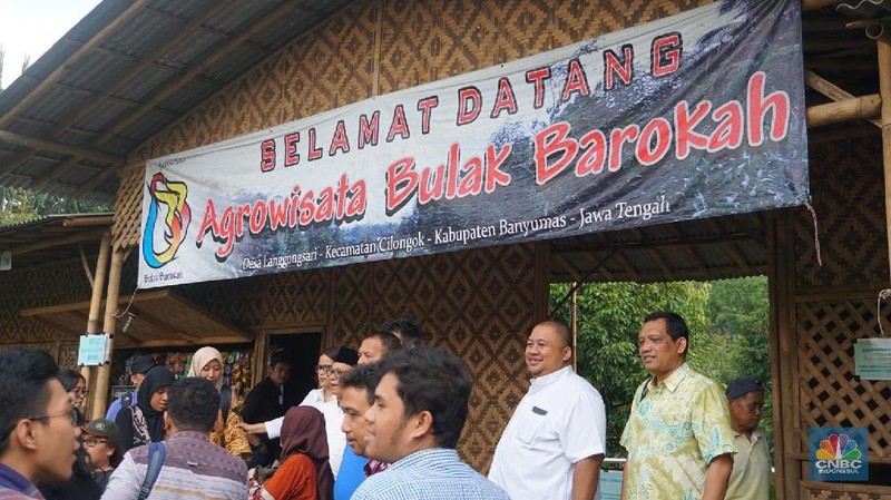 Wisatawan dapat melihat proses pembuatan gula kelapa, peternakan sapi, kambing dan tanaman durian.