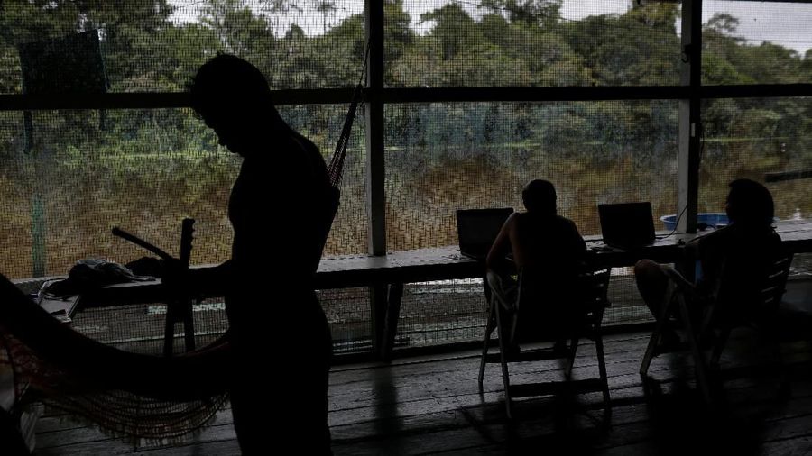 Perjalanan ekowisata untuk melihat jaguar yang hidup di pohon.