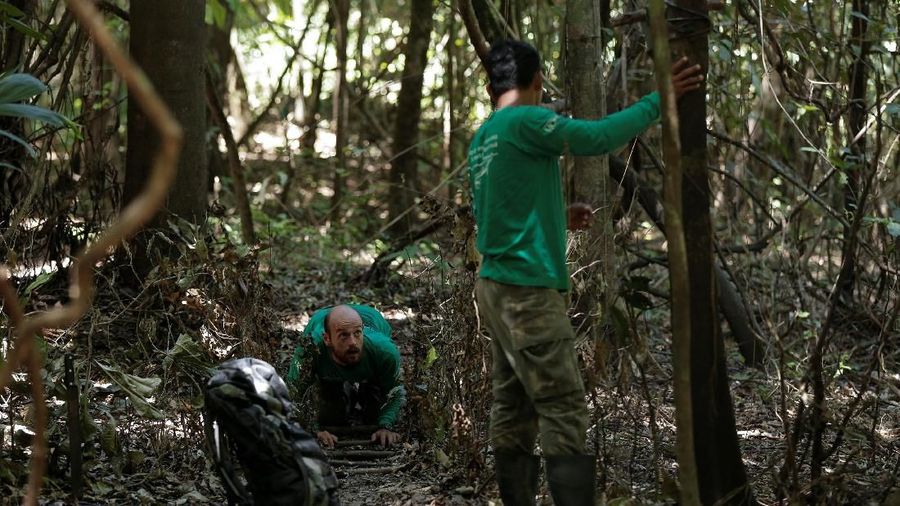 Perjalanan ekowisata untuk melihat jaguar yang hidup di pohon.