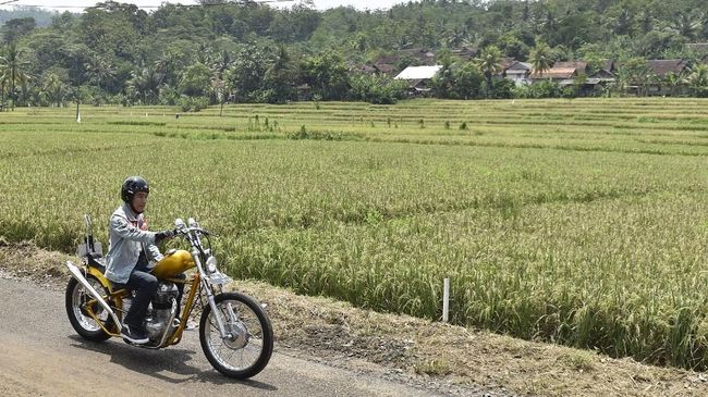 Pemuda Ditilang demi Bergaya ala Jokowi Saat Naik Motor