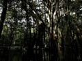 6 Tempat Terlarang untuk Wisata