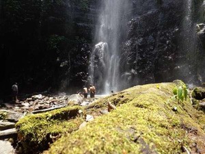 Indahnya Curug Lawe Ungaran, Air Terjun Bak Benang Putih yang Menjuntai