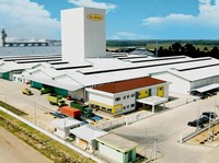 Rudy Hartono Borong Saham Malindo Feedmill (MAIN) di Harga Rp 745