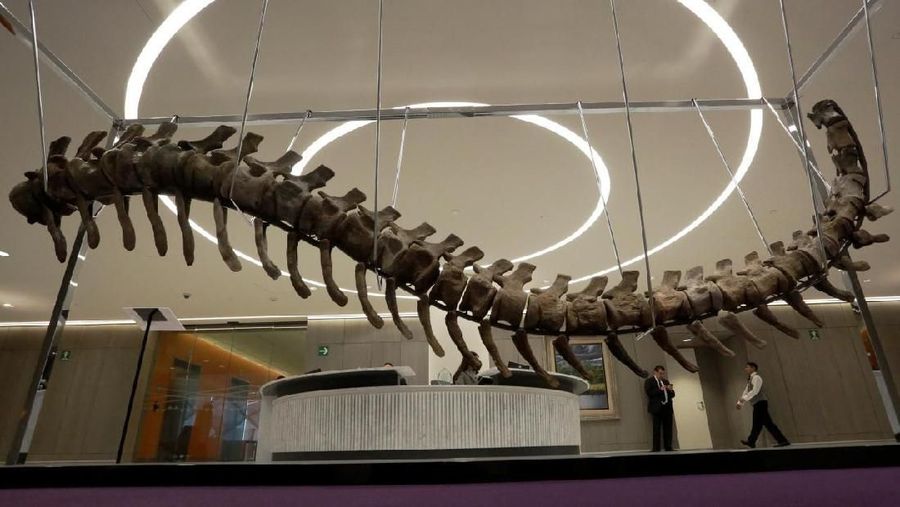 Kerangka dinosaurus sekarang juga bisa dijadikan alat investasi, dekorasi interior rumah seperti lukisan.
