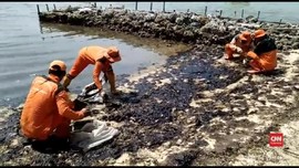 Polisi Periksa 2 Perusahaan soal Minyak Tumpah di Pulau Pari