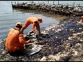 Pemprov DKI Uji Labfor Cari Asal Limbah Minyak di Pulau Pari