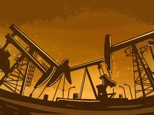 China Menuju New Normal, Harga Minyak Mentah Melesat 2%