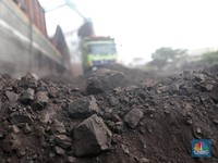 Suram! Harga Batu Bara Gak Karu-karuan, Terendah 4 Tahun Terakhir