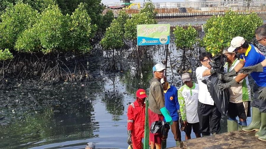 Direktur Utama PT Pertamina (Persero) Elia Massa Manik menyambangi wilayah tumpahan minyak di perairan Teluk Balikpapan.