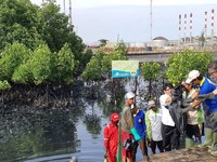 Bos Pertamina Sambangi Lokasi Tumpahan Minyak Balikpapan