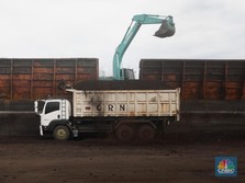 Usai Dibanting, yang Pegang Saham Batu Bara Nyengir Hari Ini