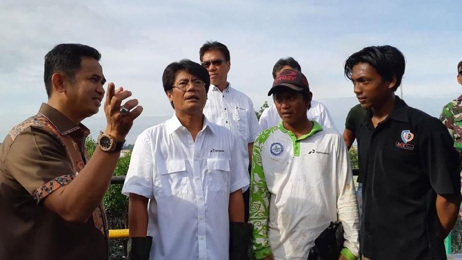 Elisa Massa Manik dicopot dari jabatan Dirut Pertamina.
