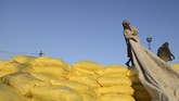 Seorang pekerja India menutupi kantung-kantung pupuk pertanian di sebuah gudang di Jalandhar. (AFP PHOTO / Shammi MEHRA)