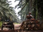Bayar Utang, TBLA Minta Restu Penerbitan Obligasi Rp 5,6 T