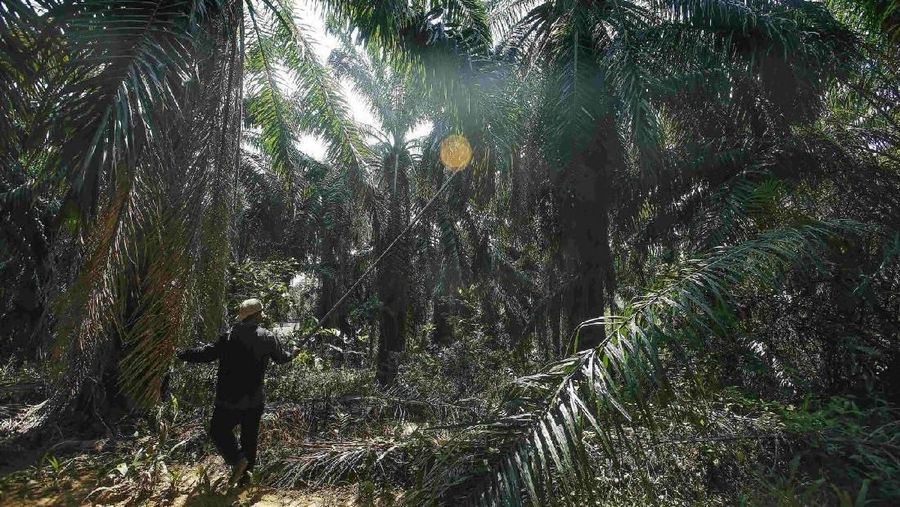 Volume perdagangan saham tercatat cukup besar mencapai 39,31 juta saham senilai Rp 6,6 miliar.