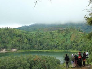 7 Tempat Staycation di Wonosobo yang Murah, Nyaman, dan Sejuk