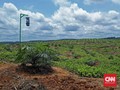 3,3 Juta Ha Tanah Kalimantan Dikuasai 25 Konglomerat Sawit